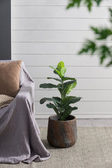Small Gray Cement Indoor & Outdoor Planter, 12.6 × 11.8 in