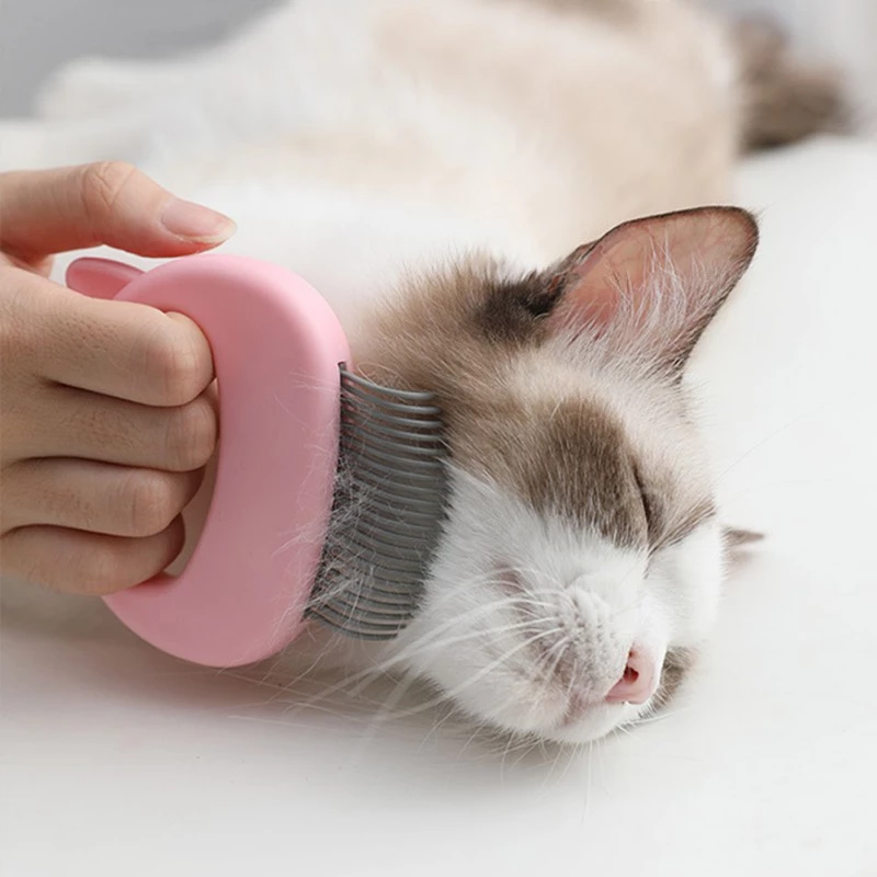 Pets