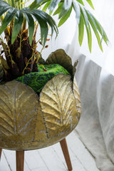 set of 2 metal Indoor planters
