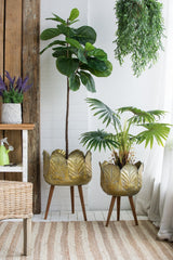 set of 2 metal Indoor planters