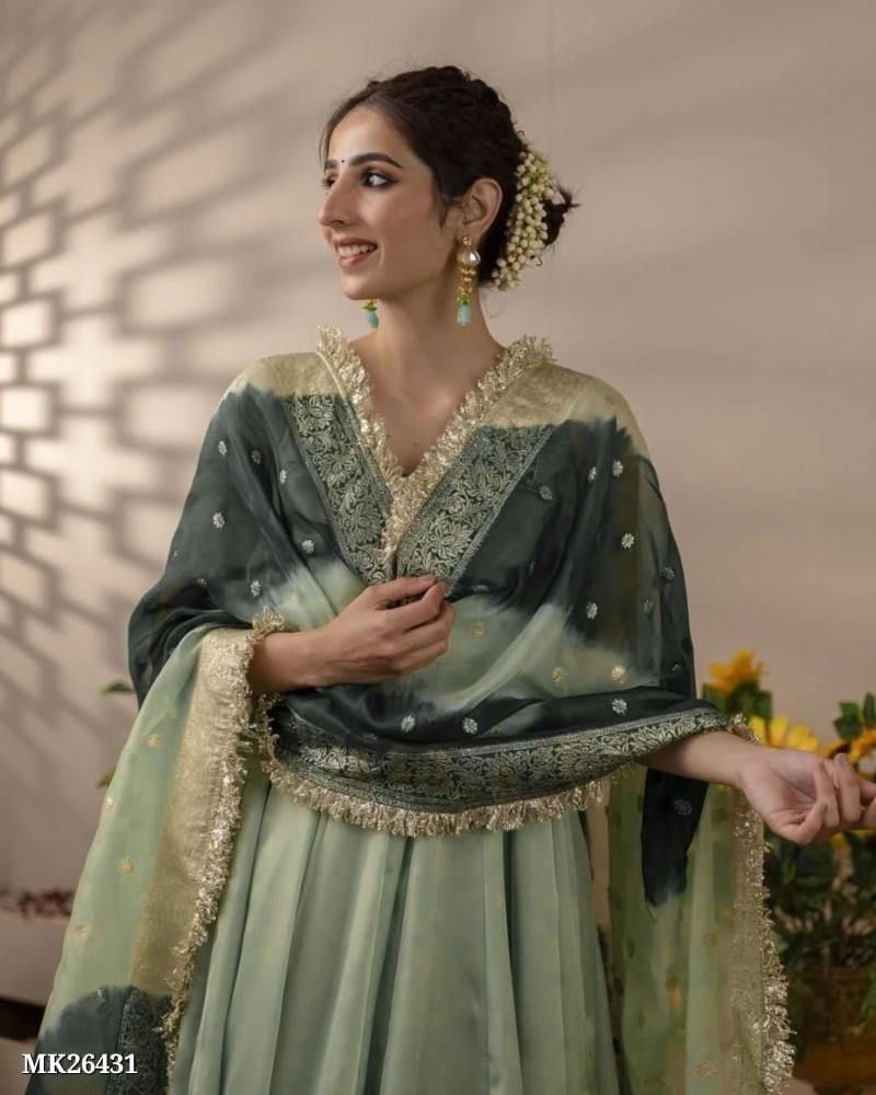 Georgette Fabric Designer Gown