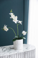 White & Silver Geometric Ceramic Planter, Available in 2 Sizes